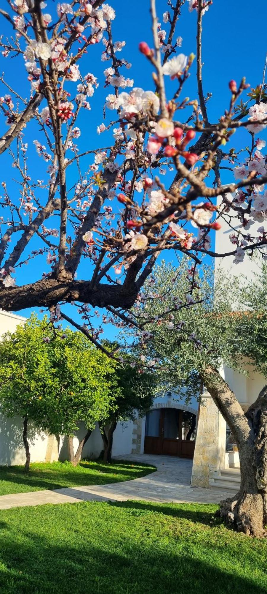 Villa Guajira Bari Buitenkant foto