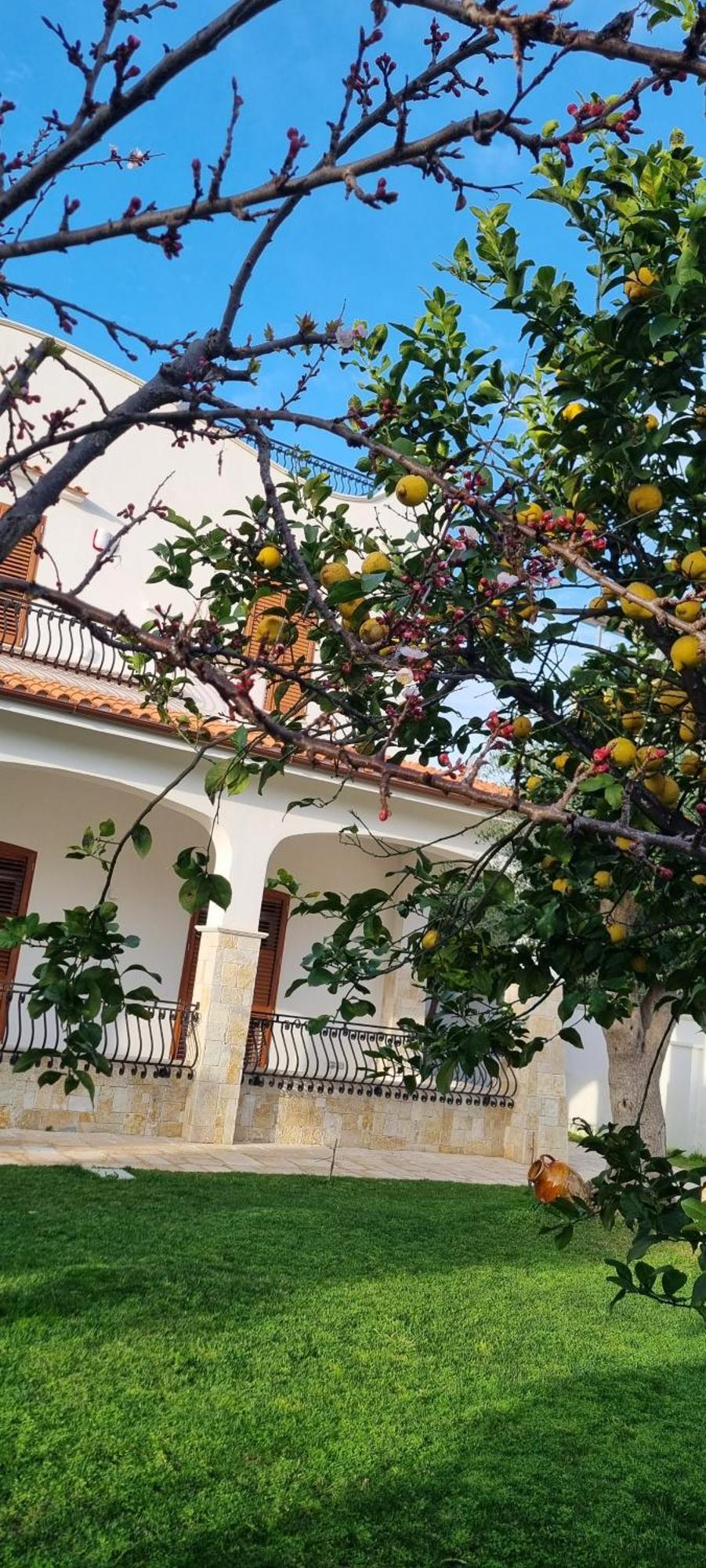 Villa Guajira Bari Buitenkant foto