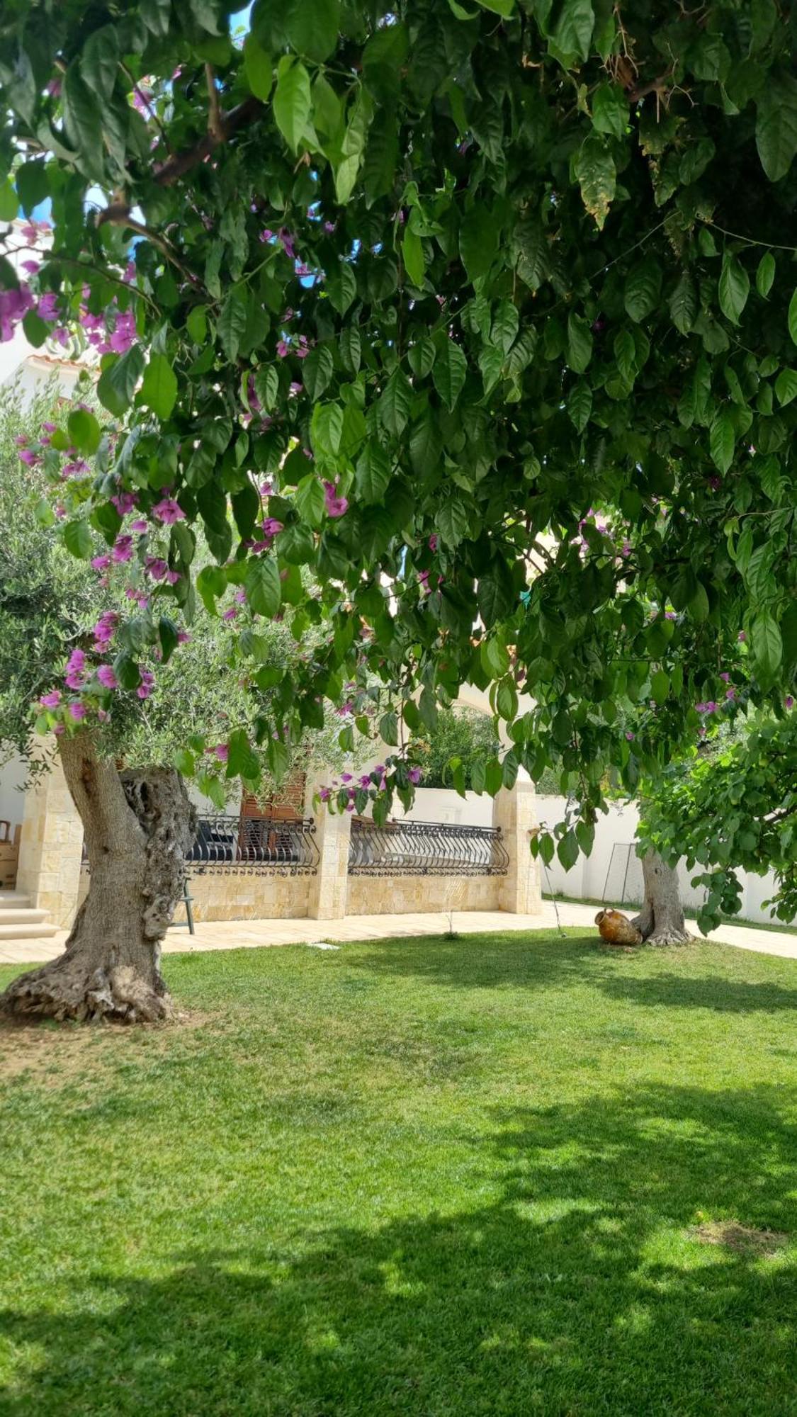 Villa Guajira Bari Buitenkant foto
