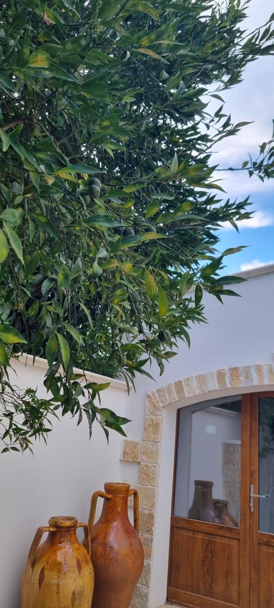 Villa Guajira Bari Buitenkant foto