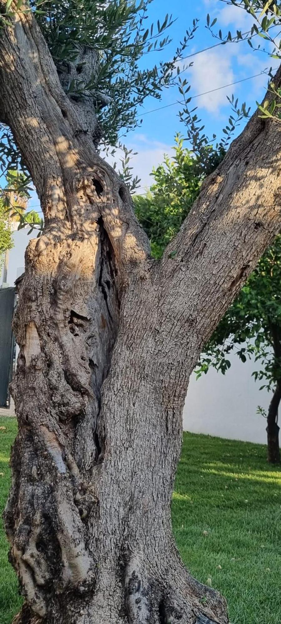 Villa Guajira Bari Buitenkant foto