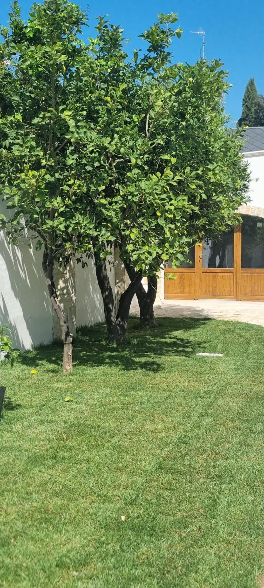 Villa Guajira Bari Buitenkant foto